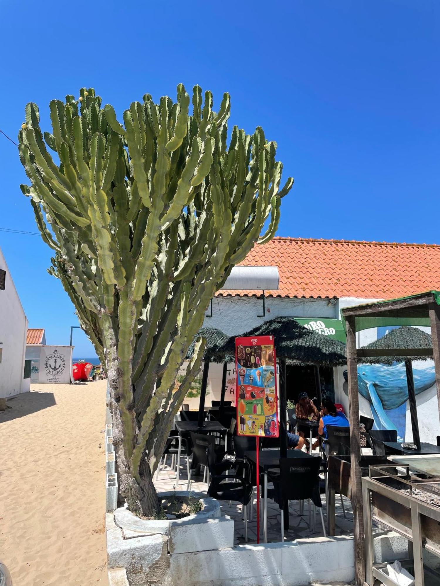 Sea View & Sundown, 150M From The Beach And Surf Spots Costa de Caparica Eksteriør bilde